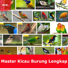 Icona Master Suara Burung Lengkap