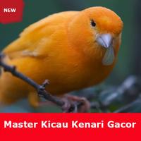 Master Kicau Kenari Gacor Full poster