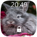 Petya Rabbit Lock Screen APK