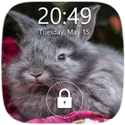 Petya Rabbit Lock Screen biểu tượng