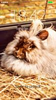 Petya Rabbit Lock Screen ảnh chụp màn hình 3