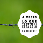 motivate ahora icon