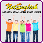 netEnglish - Writing Skills icône