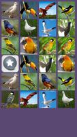 Birds Memory Game স্ক্রিনশট 2