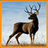 Deer Memory Game APK