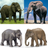 Elephant Memory Game APK