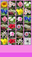 Flower Memory Game ภาพหน้าจอ 3