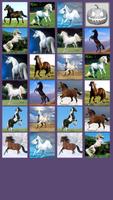 Horse Memory Game ảnh chụp màn hình 2