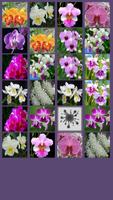 Orchid Memory Game syot layar 2