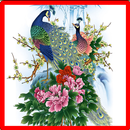 Peacock Memory Game APK