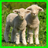 Sheep Memory Game APK