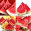 ”Watermelon Memory Game