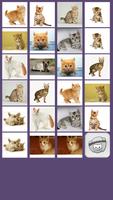 Cats match game ภาพหน้าจอ 3