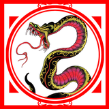 Snake Tattoo Designs icono