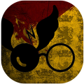 Quidditch Ball