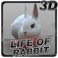 Life of Rabbit