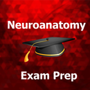 Neuroanatomy Test Prep 2024 Ed APK