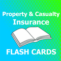 Property & Casualty Insurance