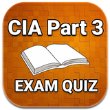 CIA Part 3 MCQ Exam Practice Quiz