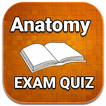 Anatomy Exam Prep Quiz 2024 Ed