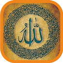 Ayatul Kursi MP3 with Tajweed Offline APK