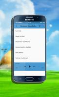 Sholawat Veve Zulfikar Offline تصوير الشاشة 3