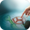 How To Draw The Red Turtle