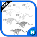 Animal Drawing Tutorials