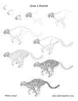 Animal Drawing Tutorials Affiche