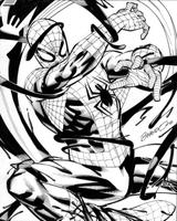 how to draw spiderman capture d'écran 3