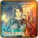 Vanilda Bordieri Letras APK