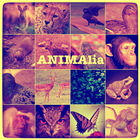 animalia আইকন