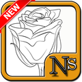 How to draw roses