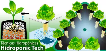 Tech Hydroponic  - Técnicas Hi