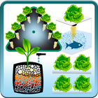 Tech Hydroponic  - Técnicas Hi আইকন