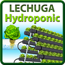 Pyramid Hydroponic Lechuga APK