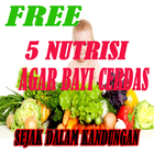 آیکون‌ 5 Nutrisi Agar Bayi Cerdas Sejak Dalam Kandungan