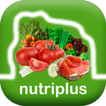 NutriPlus - NFT créateur