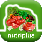 NutriPlus-NFT Builder Zeichen