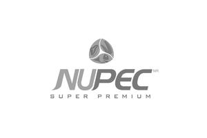 NUPEC โปสเตอร์