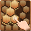 ”Wood Block Hexagon