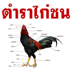 ตำราไก่ชน আইকন