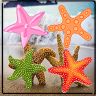 Starfish Match 3 Juego icono