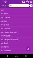 English Turkish Dictionary تصوير الشاشة 3