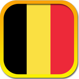 The Belgian Constitution icono