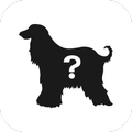 DogFinding