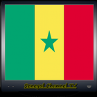 Senegal Channel TV Info icon