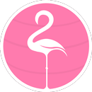 Flamingo Browser - with foolpr APK