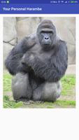 Your Personal Harambe Affiche