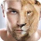 Animal Faces - Face Morphing icon